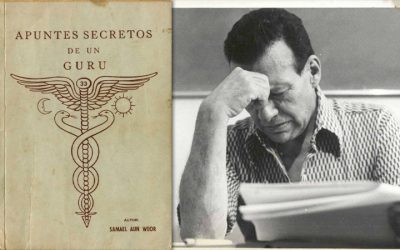 Apuntes Secretos de un Gurú