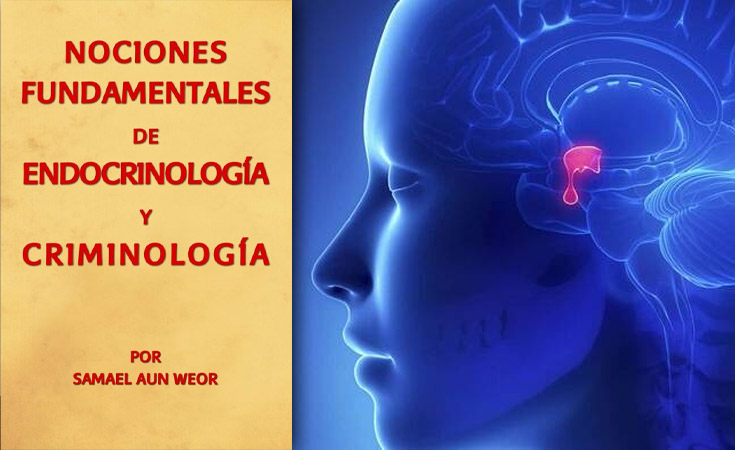 Nociones Fundamentales de Endocrinología y Criminología