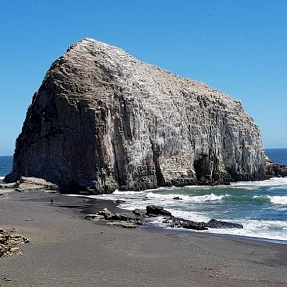 Gnosis en Constitución